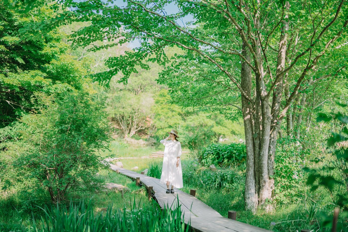 🎵 롯코 숲의 소리 뮤지엄(롯코 모리노네 뮤지아무) 이미지 4